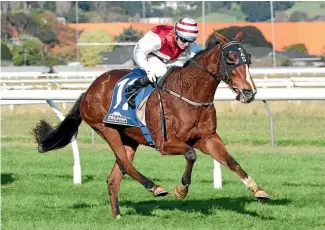  ??  ?? Ladies First is ready to tackle right-hand racing at Ellerslie today.