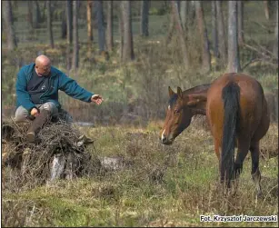  ?? Fot. Krzysztof Jarczewski ??