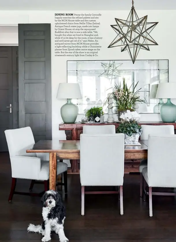  ??  ?? DINING ROOM Penny the family Cavoodle happily matches the refined palette and sits by the MCM House table and the custom upholstere­d chairs from Nellie Tilley (below). Antique French water jugs, made into lamps by Orient House, sit atop the repurposed Buddhist altar that is now a side table. “We bought this when we lived in Shanghai and, while it’s a bit deep for the room, it has a history and we’d never get rid of it,” says Helen. An antiqued mirror from MCM House provides a light-reflecting backdrop while a Chinoiseri­e planter from Zjoosh takes centre stage on the table. But the star of the show is an original nineteenth century light from Conley & Co.