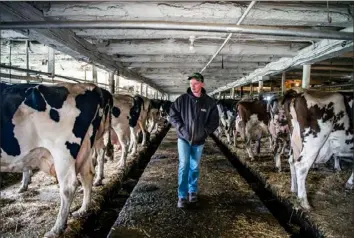  ?? Alexandra Wimley/Post-Gazette ?? William Thiele walks through the milk barn Tuesday at Thiele Dairy Farm in Cabot, Butler County. His family milks around 40 cows.