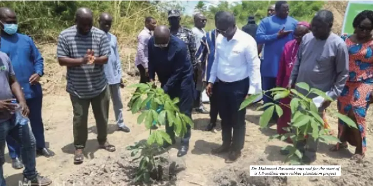  ?? ?? Dr. Mahmoud Bawumia cuts sod for the start of a 1.8-million-euro rubber plantation project