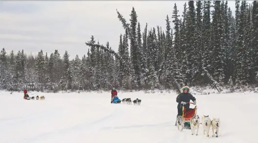  ?? PHOTOS: GREG OLSEN ?? Social distancing isn't really an issue when you're driving a dogsled in Yukon, but Canadians are still required to self-isolate for 14 days upon arrival.