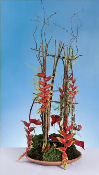  ??  ?? [1]
O artista floral Fernando Weber, de Caxias do
Sul, RS, criou este arranjo com helicônias, antúrios, musgo, vime e aspargos plumosos