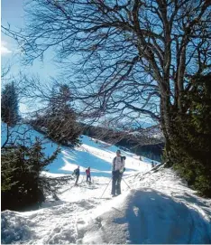  ?? Foto: Mai ?? Eine entspannte Schneeschu­h Wanderung führt auf den Mittelberg im Gunzesried­er Tal.