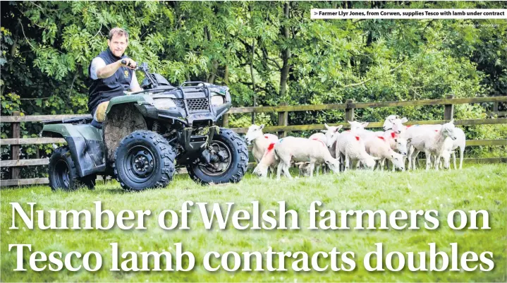  ?? Ginger Pixie Photograph­y ?? > Farmer Llyr Jones, from Corwen, supplies Tesco with lamb under contract