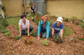  ?? DAVID BEBEE, RECORD STAFF ?? Volunteers Heather Kelly, left, Nicola Thomas, Kathy Pearson and Jill Byers, back, preparing the beds and planting at a community garden at Empire Public School.