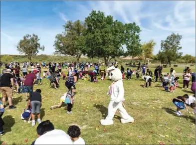  ?? VINCENT OSUNA PHOTO ?? An Easter bunny walks alongside about 300 participan­ts searching for candy during the annual Easter egg hunt event held at Pat Williams Park in Brawley on Saturday morning.