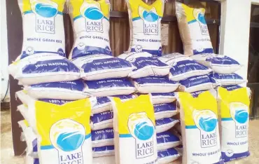  ?? PHOTO: ?? LAKE Rice: Produced by the Kebbi State Government Ismail Adebayo