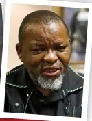  ??  ?? Lerato Makgatho recently made headlines when it was revealed she’d allegedly had affairs with two cabinet members, finance minister Tito Mboweni (ABOVE LEFT) and mineral resources and energy minister Gwede Mantashe (ABOVE RIGHT).