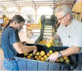  ?? JOE BURBANK/STAFF PHOTOGRAPH­ER ?? Red Hill Groves co-owner Ed White, right, at the family’s citrus stand in Sanford.