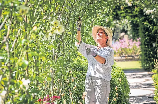  ?? Pictures by Mhairi Edwards. ?? HIDDEN GEM: Volunteer Nicola Rae puts the final touches to the rose arch in the Backhouse Rossie Estate gardens.