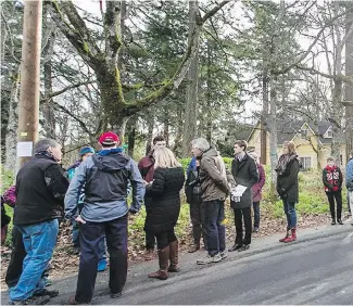  ??  ?? Grange Road neighbourh­ood residents and Saanich councillor­s tour the area Saturday where up to 49 trees could be removed to make way for a sewage pipe.