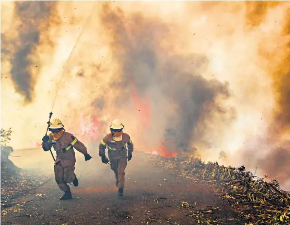  ??  ?? Republican National Guard soldiers battle a forest fire in Capela Sao Neitel, Alvaiazere, central Portugal, yesterday. Inset: Firefighte­rs and forensic medicine investigat­ors work near a burned car near Pedrogao Grande