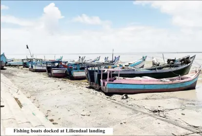  ?? ?? Fishing boats docked at Liliendaal landing