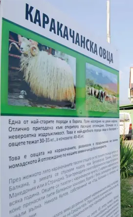  ?? | снимки Цветелина Белутова ?? Яни и Таня Кулови участват в управление­то на семейната ферма „Под Балкана“, в която се отглеждат 1500 животни