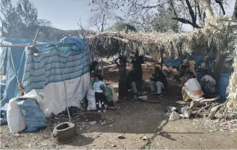  ?? Zecharias Zelalem ?? Families displaced by fighting in Ethiopia’s Tigray region take refuge in a temporary shelter in the town of Shire