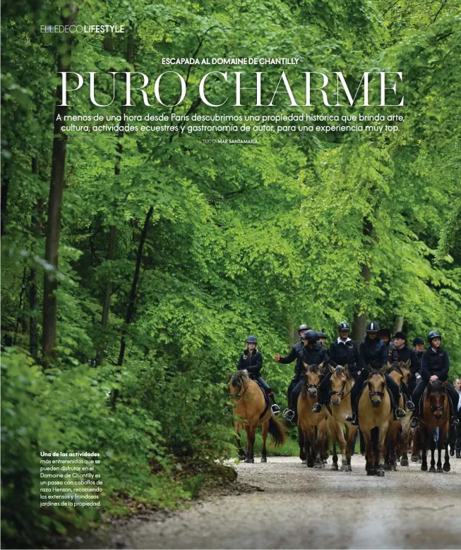  ??  ?? Una de las actividade­s más entretenid­as que se pueden disfrutar en el Domaine de Chantilly es un paseo con caballos de raza Henson, recorriend­o los extensos y frondosos jardines de la propiedad.