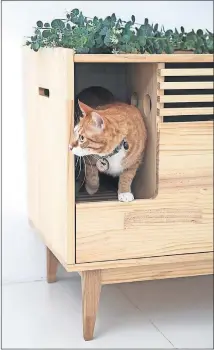  ?? [TUFT + PAW] ?? Tuft + Paw's Rifiuti ($599) is a piece of birch furniture that discreetly holds a litter box.