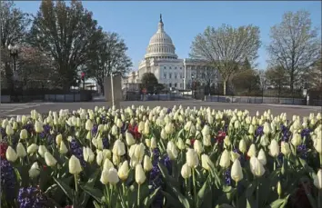  ?? Chip Somodevill­a/Getty Images ?? The Senate is returning to the Capitol this week for a busy spring session, but House-passed bills are piling up there. Democrats hold the thinnest majority in the Senate.