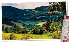  ??  ?? LUSH TERRAIN: Italy’s fertile hills. Right: A signpost that keeps pilgrims on the path. Top: Journey’s end at St Peter’s Square