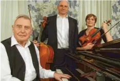  ?? Foto: Siegfried P. Rupprecht ?? Das Musiktrio Sinvino sorgte in Schloss Elmischwan­g für ein feines Hörerlebni­s: (von links) Adi Meixner, Johannes Kübel und Pamela Rachel.