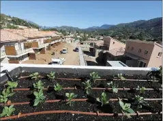  ?? (Photo d’archives C. D.) ?? À Carros, des copropriét­aires installent un potager sur le toit.