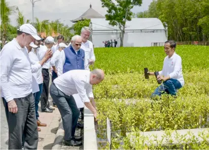  ?? BAY ISMOYO/POOL/AGENCE FRANCE-PRESSE ?? INDONESIAN president Joko Widodo (right) and other leaders take a walk through mangrove seeding on the sidelines of the G20 Summit in Nusa Dua, on the Indonesian resort island of Bali.
