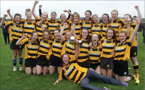  ??  ?? The Minor team of 2016 celebrate after winning the club’s sixth Premier championsh­ip title in the space of seven years.