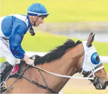  ?? Picture: AAP ?? Nash Rawiller wins on Lewis at Rosehill Gardens.