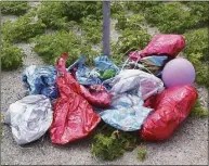  ?? Laura Saucier / DEEP Wildlife Division ?? These balloons were collected at Long Beach in Stratford near an important nesting area for piping plovers and least terns.