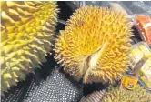  ??  ?? Improperly stored, ripened durian flesh can, quite literally, cause a big stink, especially if it breaks out of the shell.