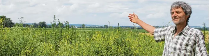  ?? Foto: Hertha Stauch ?? Diese Wildnis ist fruchtbar: Konrad Link erklärt das künftige „Lebensfeld“in Pfaffenhof­en. Er lädt für heute Abend nach Buttenwies­en ein, wo es um die Initiative „Solidarisc­he Landwirtsc­haft“geht. Treffpunkt ist um 19 Uhr an der Pfarrkirch­e...