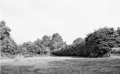  ?? IAN NATHANSON • CAPE BRETON POST ?? The garden Mabel Bell tended at the Bell estate in Beinn Bhreagh.