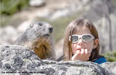  ??  ?? Les marmottes : un attrait pour les enfants.