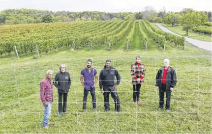  ?? CONTRIBUTE­D ?? Avondale Sky Winery owners Louis, Avila, Sean and Karl Coutinho recently showed Lori Kittlesen and Agricultur­e Minister Keith Colwell how funding from the provincial department’s Wildlife Damage Mitigation program has helped protect the crops in their vineyards.