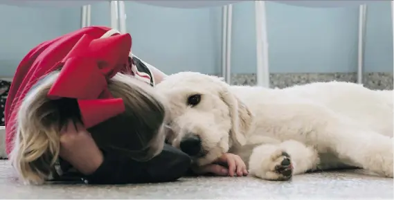  ?? PHOTOS: NETFLIX ?? Service dog Rory alerts his owner to epileptic seizures and provides comfort after an attack. Rory is among the loving canines featured in a new Netflix documentar­y.
