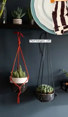  ??  ?? Plant hangers, £45