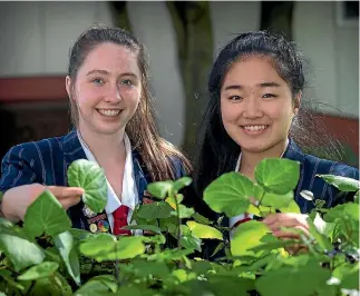  ?? PHOTO: MURRAY WILSON/STUFF ?? Zoe Glentworth, left, and Katie Liu’s insect repellent, made out of common plants, scooped school science awards.