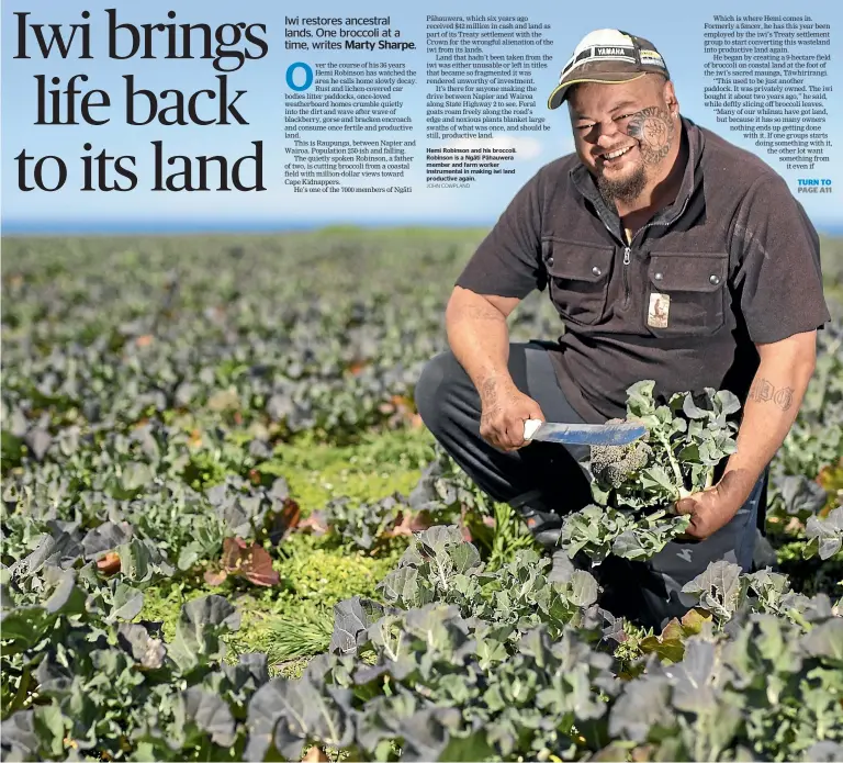  ?? JOHN COWPLAND ?? Hemi Robinson and his broccoli. Robinson is a Nga¯ ti Pa¯ hauwera member and farm worker instrument­al in making iwi land productive again.