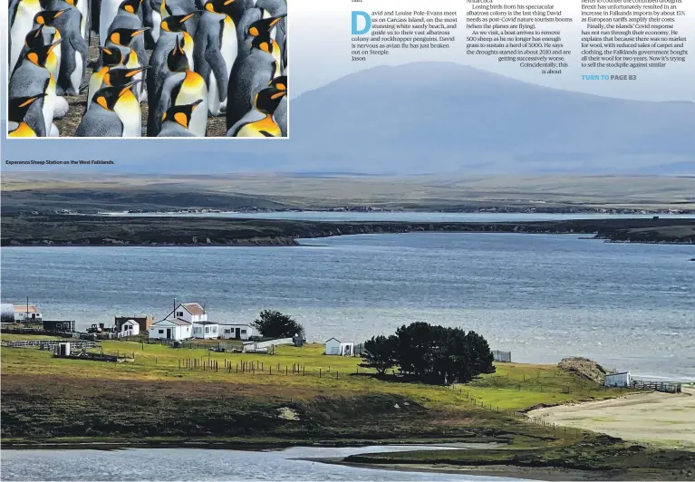  ?? ?? Esperanza Sheep Station on the West Falklands.