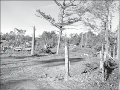  ?? Courtesy photo ?? Storm damage sustained in Red River County on Nov. 4, 2022.