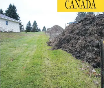  ?? HANDOUT ?? David and Joan Gallant pleaded with their neighbours to remove a giant pile of manure that had sat next to their property in Indian Mountain, N.B., for almost a year. They allege these same neighbours also used a snowblower to send rocks onto their...