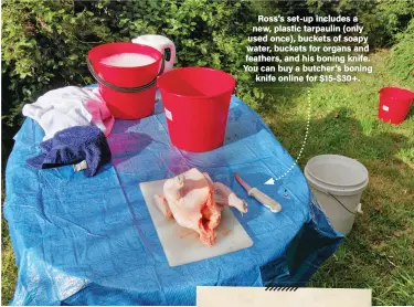  ?? ?? Ross’s set-up includes a new, plastic tarpaulin (only used once), buckets of soapy water, buckets for organs and feathers, and his boning knife. You can buy a butcher’s boning knife online for $15-$30+.