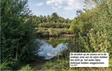  ?? Foto MIST ?? De struiken op de oevers en in de ondiepe zone van de vijver hebben het zicht op het water bijna helemaal hebben weggenomen.