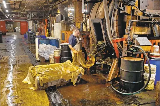  ?? Charles Rex Arbogast Associated Press ?? THE GLUT of cowhides has caused leather prices to plummet. Above, a worker at Horween Leather Co. removes wet steer hide that is being treated in Chicago in 2017.