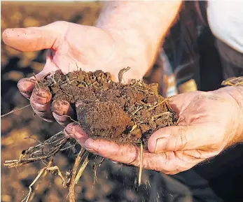  ?? ?? SOIL MANAGEMENT: Farmers may one day be paid for carbon capture.