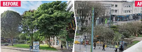  ?? ?? BEFORE
Green and pleasant land: Armada Way before the felling