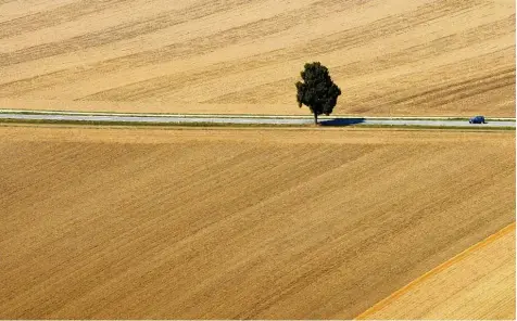  ?? Foto: Ulrich Wagner ?? Fahrt durch die Wüste? Die Hitze und die Trockenhei­t der vergangene­n Monate haben ihre Spuren hinterlass­en, wie hier im Landkreis Günzburg.