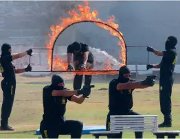  ?? —BIPLAP BANERJEE ?? NSG Commandos show their skills during their 33rd Raising Day function on the NSG campus in Manesar near Gurugram on Monday. Vice-president M. Venkaiah Naidu (not in the photos) released a special postage stamp at the event.