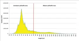  ??  ?? Figure 1 Lengths of 50 million yellowfin tuna caught by all Indian Ocean fisheries in 2019